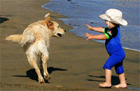 Двухлетние дети и собаки одинаково воспринимают жесты
