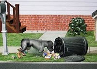 Собака подбирает мусор 